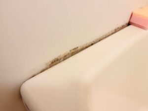 ガンコな汚れにお悩みの方